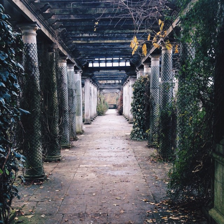 67ac0bc1cfb5e1ed6755d39d62d2998c_735