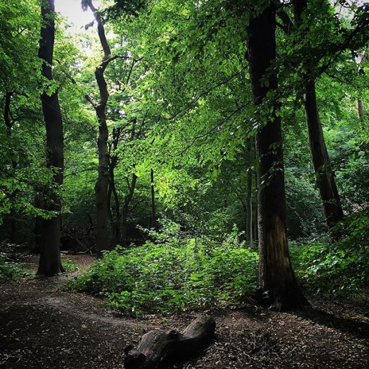 74a95f71f551f2d8c2ed98e4afbaf78d_735