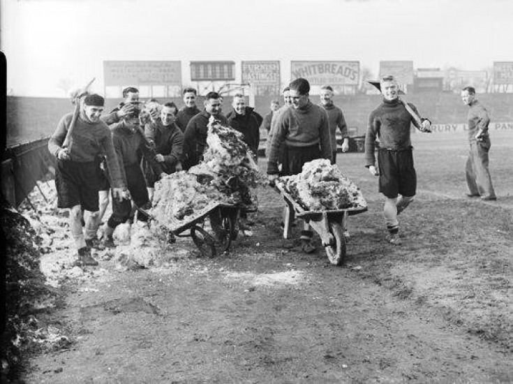 a49e1dc6cbffb4fd7d142efa8add0297_735