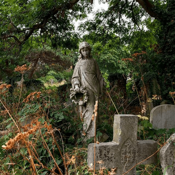 Снимок экрана 2018-01-20 в 14.18.55