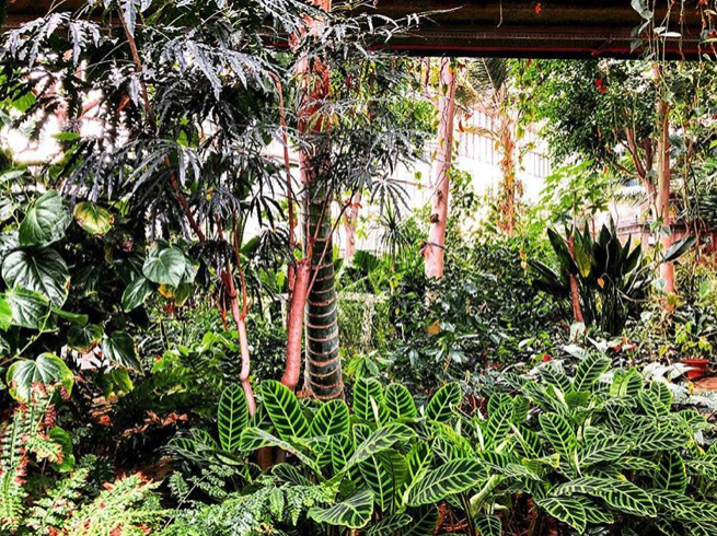 Снимок экрана 2018-03-03 в 12.38.08